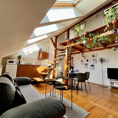 Captain Misha'S Place Belgrade Extérieur photo