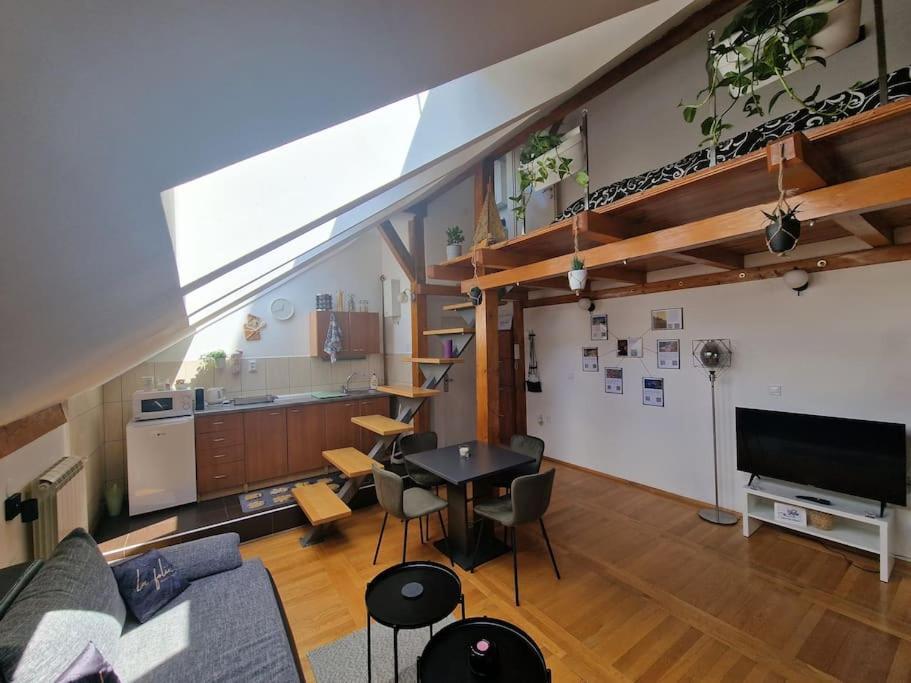 Captain Misha'S Place Belgrade Extérieur photo