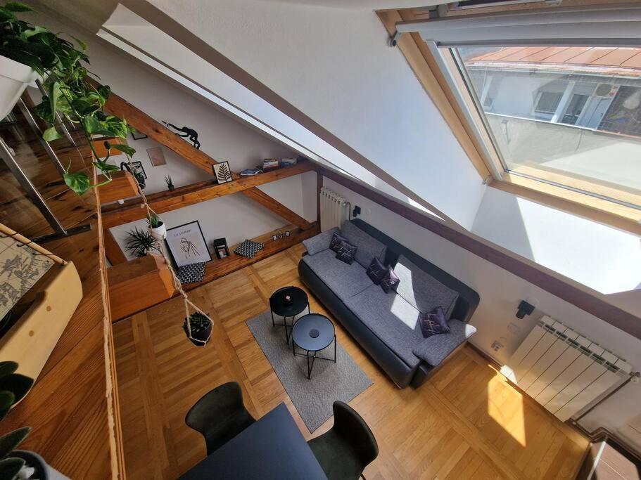 Captain Misha'S Place Belgrade Extérieur photo