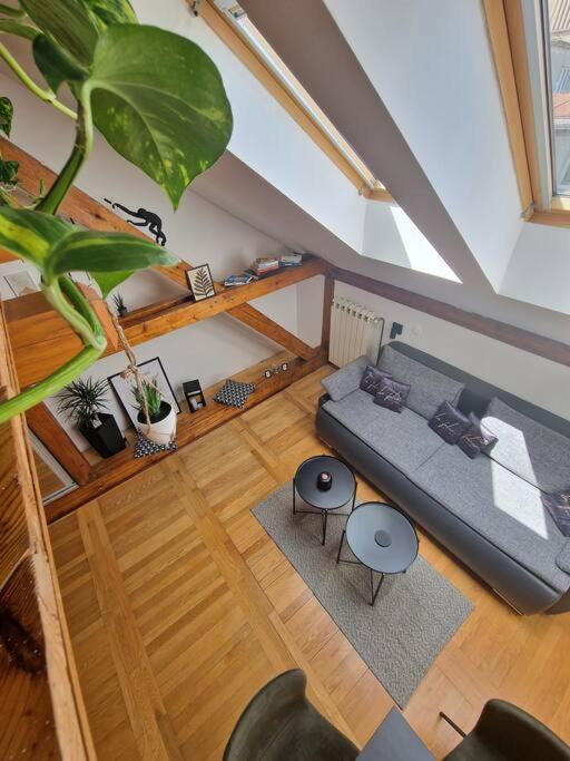 Captain Misha'S Place Belgrade Extérieur photo