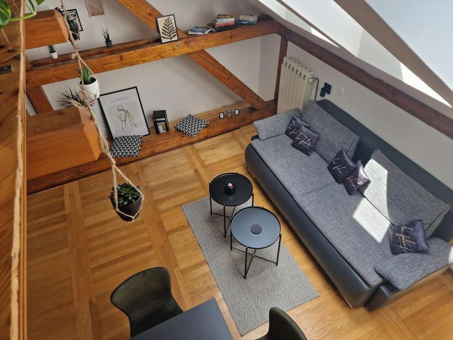 Captain Misha'S Place Belgrade Extérieur photo