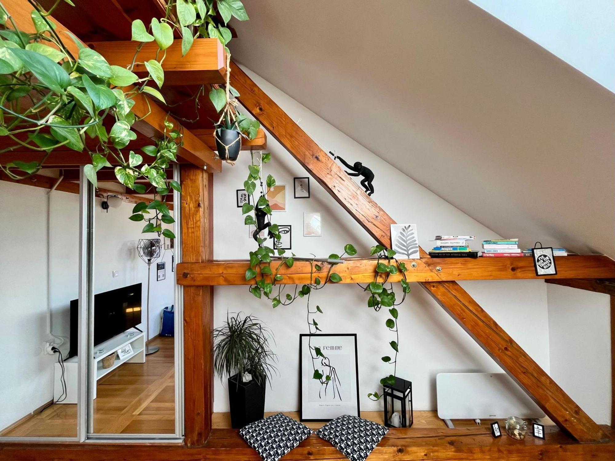 Captain Misha'S Place Belgrade Extérieur photo