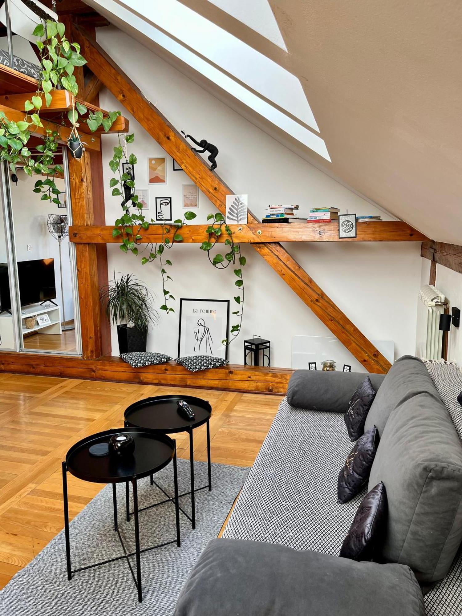 Captain Misha'S Place Belgrade Extérieur photo